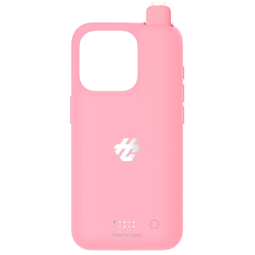 H Case